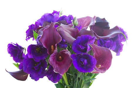 Bunch of Calla lilly and eustoma flowers  isolated on white background Photographie de stock - Aubaine LD & Abonnement, Code: 400-08266062
