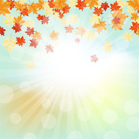 simsearch:400-07675553,k - Autumn  Frame With Maple Leaves Over Sky Background. Elegant Design with Text Space and Ideal Balanced Colors. Vector Illustration. Stock Photo - Budget Royalty-Free & Subscription, Code: 400-08260118