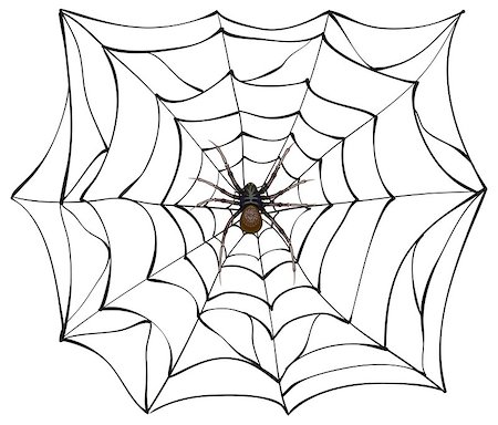 simsearch:400-08200203,k - Spiderweb. Big spider web. Scary spider of web. Poison spider. Illustration in vector format Foto de stock - Royalty-Free Super Valor e Assinatura, Número: 400-08260916