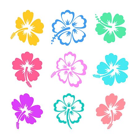 Colorful vector hibiscus silhouette icons on white background Stock Photo - Budget Royalty-Free & Subscription, Code: 400-08260953