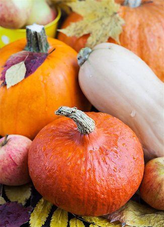 simsearch:400-03938737,k - Decorative autumn halloween pumpkins Photographie de stock - Aubaine LD & Abonnement, Code: 400-08261961
