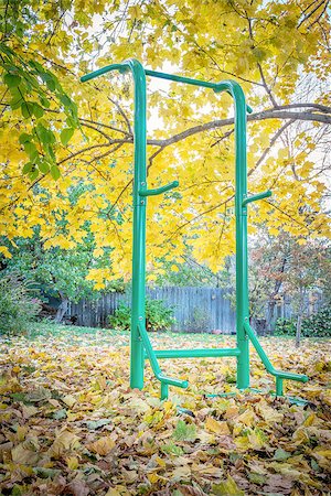 pixelsaway (artist) - backyard fitness concept - outdoor fitness tower for a variety of exercises including chin-up, pull-ups, push-ups, sit-ups, a fall scenery with a maple tree Foto de stock - Royalty-Free Super Valor e Assinatura, Número: 400-08262838