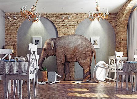 an elephant calm in a restaurant interior. photo combination concept Photographie de stock - Aubaine LD & Abonnement, Code: 400-08263044