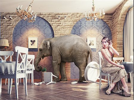 an elephant calm in a restaurant interior. photo combination concept Stock Photo - Budget Royalty-Free & Subscription, Code: 400-08263045