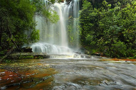 royal national park - National Falls, Royal National Park, Australia Stock Photo - Budget Royalty-Free & Subscription, Code: 400-08284243