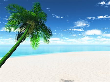 simsearch:400-08286301,k - 3D render of a palm tree sunny beach landscape Stock Photo - Budget Royalty-Free & Subscription, Code: 400-08285036