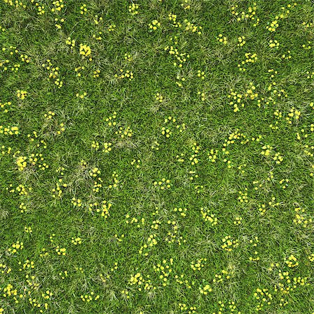 simsearch:400-05118067,k - Green grass field with flowers. background texture. Stock Photo - Budget Royalty-Free & Subscription, Code: 400-08285427