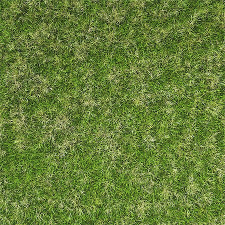 simsearch:400-07830872,k - Green grass field background texture. 3d image. Foto de stock - Royalty-Free Super Valor e Assinatura, Número: 400-08285428