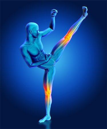 simsearch:400-08223112,k - 3D render of a male medical figure in kick boxing pose with partial skeleton highlighted Photographie de stock - Aubaine LD & Abonnement, Code: 400-08285439