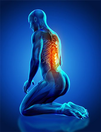 simsearch:400-08647675,k - 3D render of a male medical figure with spine highlighted in kneeling position Stockbilder - Microstock & Abonnement, Bildnummer: 400-08285440