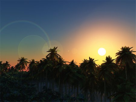 simsearch:400-08286301,k - 3D render of a palm tree landscape at sunset Stock Photo - Budget Royalty-Free & Subscription, Code: 400-08285521