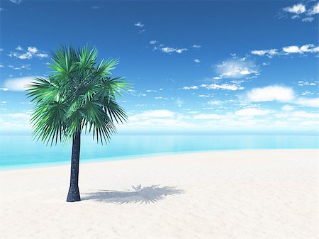 simsearch:400-08286301,k - 3D render of a sandy beach with a palm tree Stock Photo - Budget Royalty-Free & Subscription, Code: 400-08286059