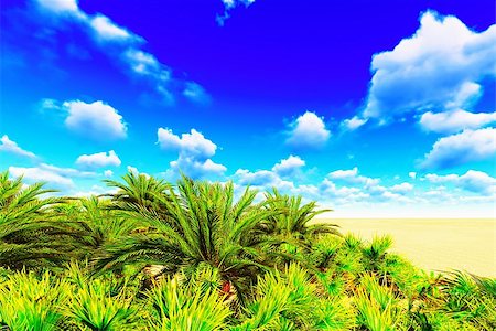 African oasis by the end of the day Stock Photo - Budget Royalty-Free & Subscription, Code: 400-08286135