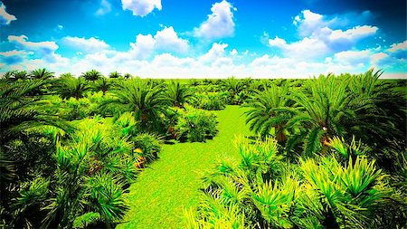 dharmanoid (artist) - African oasis by the end of the day Stock Photo - Budget Royalty-Free & Subscription, Code: 400-08286137