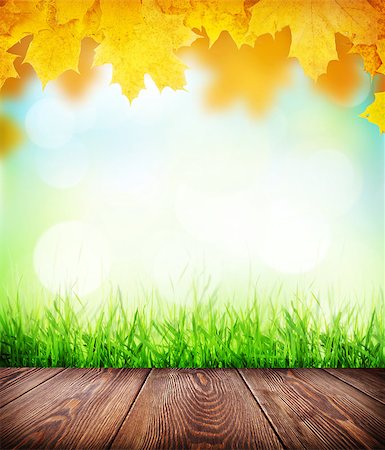 simsearch:400-08021518,k - Autumn background with wooden floor, green grass and sunlight bokeh Stock Photo - Budget Royalty-Free & Subscription, Code: 400-08286447