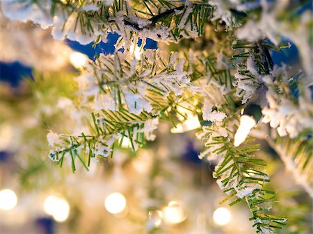 Background picture with branches and snow on a Christmas market Stock Photo - Budget Royalty-Free & Subscription, Code: 400-08286671