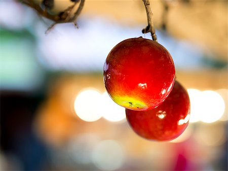 Image of a apple decoration on a Christmas market Stock Photo - Budget Royalty-Free & Subscription, Code: 400-08286673