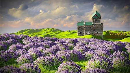 dharmanoid (artist) - Lavender fields around a castle Foto de stock - Royalty-Free Super Valor e Assinatura, Número: 400-08286822