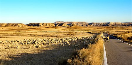 simsearch:400-05684520,k - desert landscape. Shepherd and flock of sheep Stock Photo - Budget Royalty-Free & Subscription, Code: 400-08287074