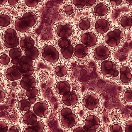 Bacteria under microscope - seamless colorful illustration Photographie de stock - Aubaine LD & Abonnement, Code: 400-08287233