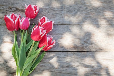 easter mother - Colorful tulips on garden table. Top view with copy space Stock Photo - Budget Royalty-Free & Subscription, Code: 400-08287277