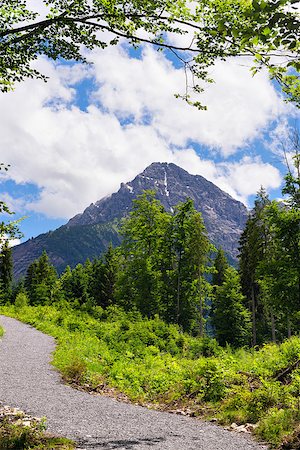 reutte - View to the summit of mountain Thaneller in Austria, Tyrol Photographie de stock - Aubaine LD & Abonnement, Code: 400-08287637