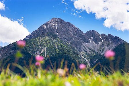 reutte - View to the summit of mountain Thaneller in Austria, Tyrol Photographie de stock - Aubaine LD & Abonnement, Code: 400-08287638