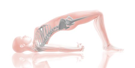 simsearch:400-08290312,k - 3D render of a female medical figure with muscle map in yoga position Stock Photo - Budget Royalty-Free & Subscription, Code: 400-08287771