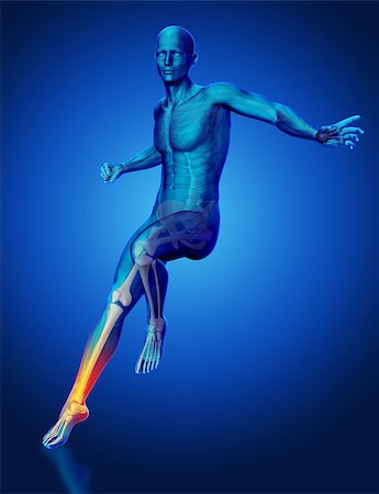 simsearch:400-05311566,k - 3D male medical figure with leg skeleton highlighted landing from a jump Stockbilder - Microstock & Abonnement, Bildnummer: 400-08288220
