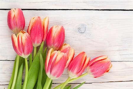 simsearch:400-08036453,k - Colorful tulips on wooden table. Top view with copy space Stock Photo - Budget Royalty-Free & Subscription, Code: 400-08288448