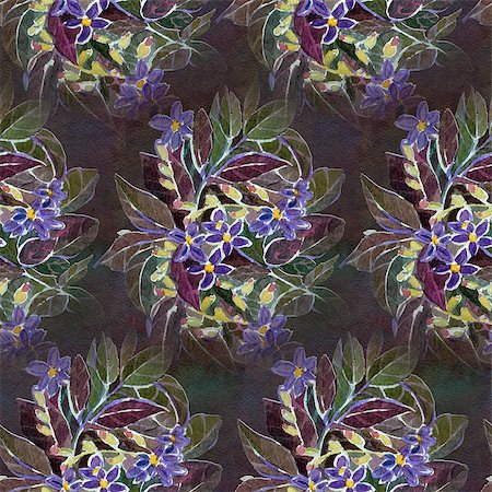 simsearch:400-08285670,k - Seamless pattern with watercolor flowers. Blue flowers on a dark background. Foto de stock - Super Valor sin royalties y Suscripción, Código: 400-08288875