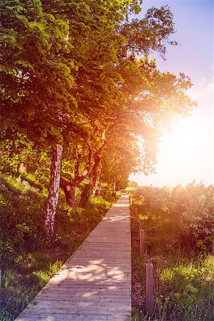 simsearch:400-04875242,k - wooden boardwalk over dunes at the beach in the sun Stock Photo - Budget Royalty-Free & Subscription, Code: 400-08282684