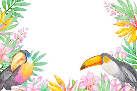 simsearch:400-09011216,k - Watercolor background with tropical birds and flowers Foto de stock - Super Valor sin royalties y Suscripción, Código: 400-08283287