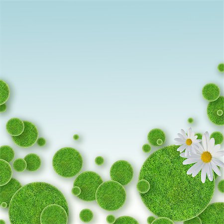 simsearch:400-06928460,k - green grass circles background and daisy Stock Photo - Budget Royalty-Free & Subscription, Code: 400-08283550