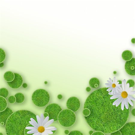 simsearch:400-06928460,k - green grass circles background and daisy Stock Photo - Budget Royalty-Free & Subscription, Code: 400-08283552
