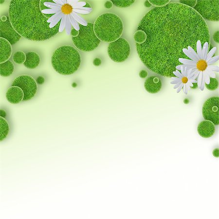 simsearch:400-06928460,k - green grass circles background and daisy Stock Photo - Budget Royalty-Free & Subscription, Code: 400-08283553