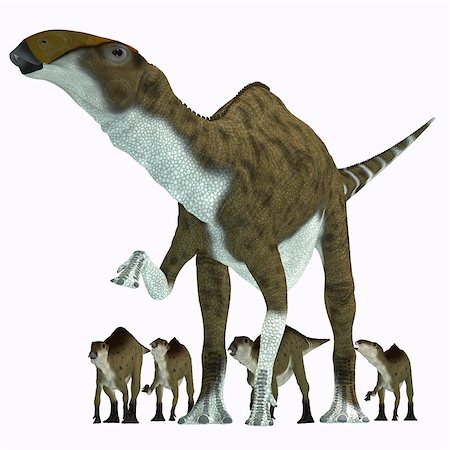 simsearch:400-08332007,k - Brachylophosaurus was a herbivorous hadrosaur dinosaur that lived during the Cretaceous Period of Alberta, Canada and Montana, North America. Foto de stock - Super Valor sin royalties y Suscripción, Código: 400-08283924