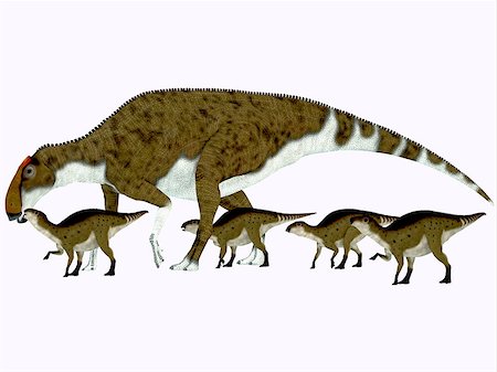 simsearch:400-08332007,k - Brachylophosaurus was a herbivorous hadrosaur dinosaur that lived during the Cretaceous Period of Alberta, Canada and Montana, North America. Foto de stock - Super Valor sin royalties y Suscripción, Código: 400-08283925