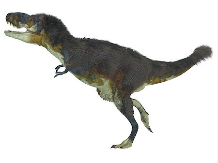 simsearch:400-08694325,k - Daspletosaurus was a carnivorous theropod dinosaur that lived during the Cretaceous Period of North America. Foto de stock - Super Valor sin royalties y Suscripción, Código: 400-08283928