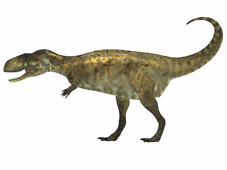 simsearch:400-08694325,k - Abelisaurus was a carnivorous theropod dinosaur that lived in the Cretaceous Period of Argentina. Foto de stock - Super Valor sin royalties y Suscripción, Código: 400-08283923