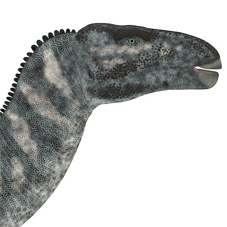 simsearch:400-08332007,k - Iguanodon was a herbivorous dinosaur that lived in Europe during the Cretaceous Period. Foto de stock - Super Valor sin royalties y Suscripción, Código: 400-08283935
