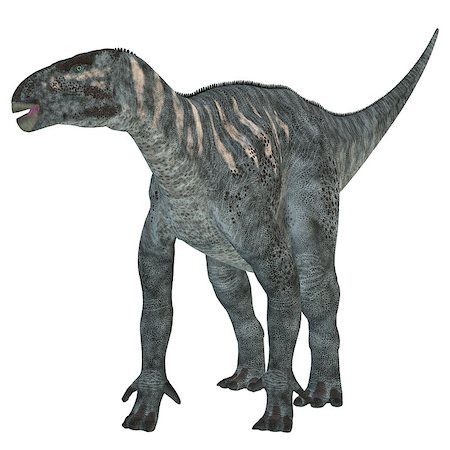 simsearch:400-08332007,k - Iguanodon was a herbivorous dinosaur that lived in Europe during the Cretaceous Period. Foto de stock - Super Valor sin royalties y Suscripción, Código: 400-08283936