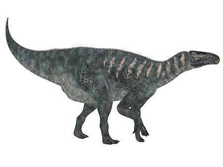 simsearch:400-08332007,k - Iguanodon was a herbivorous dinosaur that lived in Europe during the Cretaceous Period. Foto de stock - Super Valor sin royalties y Suscripción, Código: 400-08283937