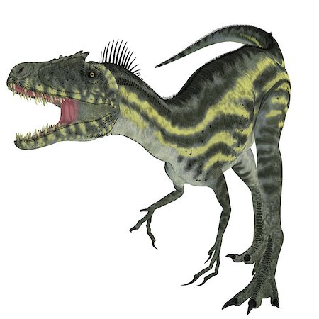 simsearch:400-08694325,k - Deltadromeus was a theropod carnivorous dinosaur that lived in Northern Africa during the Cretaceous Period. Foto de stock - Super Valor sin royalties y Suscripción, Código: 400-08283930