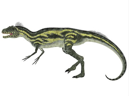 simsearch:400-08694325,k - Deltadromeus was a theropod carnivorous dinosaur that lived in Northern Africa during the Cretaceous Period. Foto de stock - Super Valor sin royalties y Suscripción, Código: 400-08283931