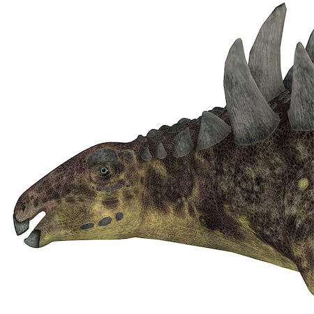 simsearch:400-08332007,k - Hungarosaurus was an ankylosaur herbivorous dinosaur that lived in Hungary during the Cretaceous Period. Foto de stock - Super Valor sin royalties y Suscripción, Código: 400-08283932