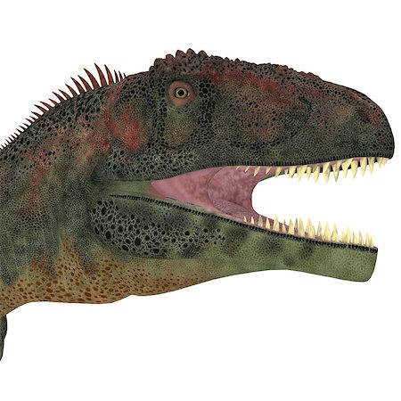 simsearch:400-08694325,k - Mapusaurus was a giant carnivorous theropod dinosaur that lived during the Cretaceous Period of Argentina. Foto de stock - Super Valor sin royalties y Suscripción, Código: 400-08283941