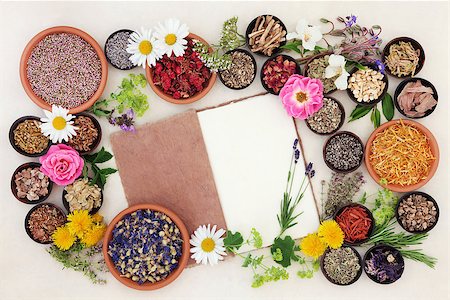 simsearch:400-07175956,k - Health care using herbal medicine flower and herb selection with hemp notebook over cream paper background. Stock Photo - Budget Royalty-Free & Subscription, Code: 400-08294093
