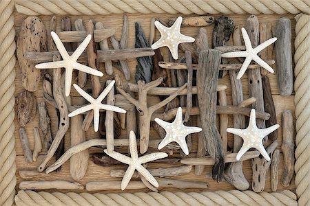 simsearch:400-07818974,k - Starfish sea shells and drftwood abstract background over oak wood with rope surround. Stock Photo - Budget Royalty-Free & Subscription, Code: 400-08294128