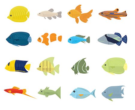 fantail - Set of Tropical Fish on white background. Vector illustration Stock Photo - Budget Royalty-Free & Subscription, Code: 400-08294312